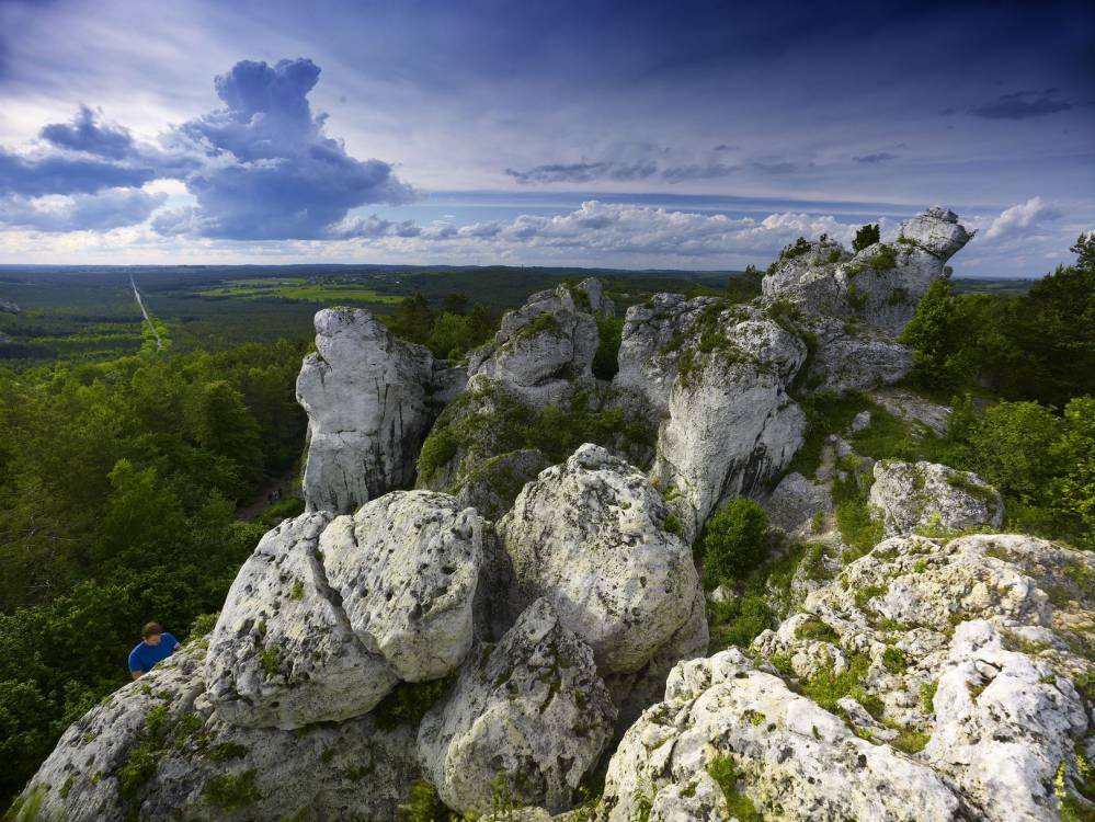 zborow-2